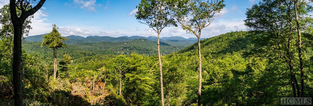Lot 1 Forest Ridge Road Cashiers, NC 28717 - Photo 2 of 17 Gallery Image 2