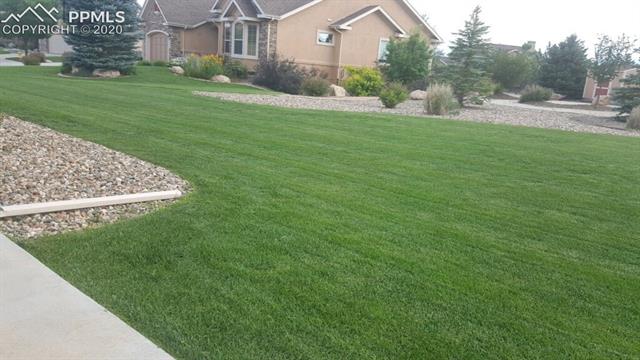 2316 Rusty Ridge Court Colorado Springs, CO 80921 - Photo 45 of 46 View of the yard in the Summer of 2019
