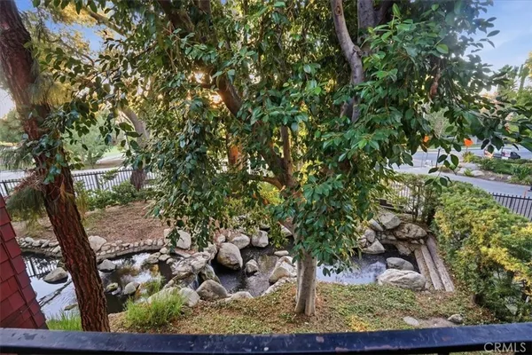 a view of a tree with a tree