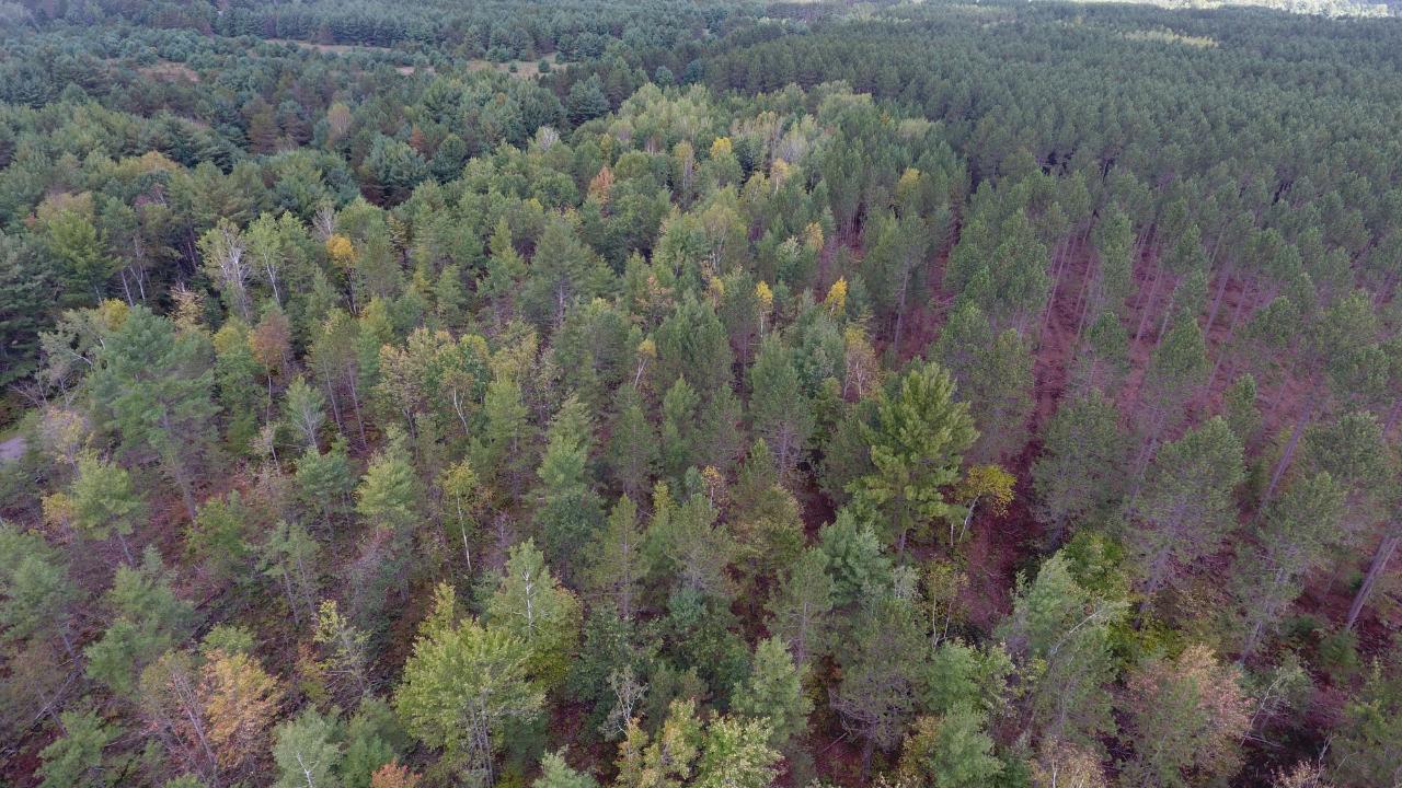 On On Pine Square Road, Unit 11 9 ACRES Tomahawk, WI 54487 - Photo 10 of 20 Gallery Image 10