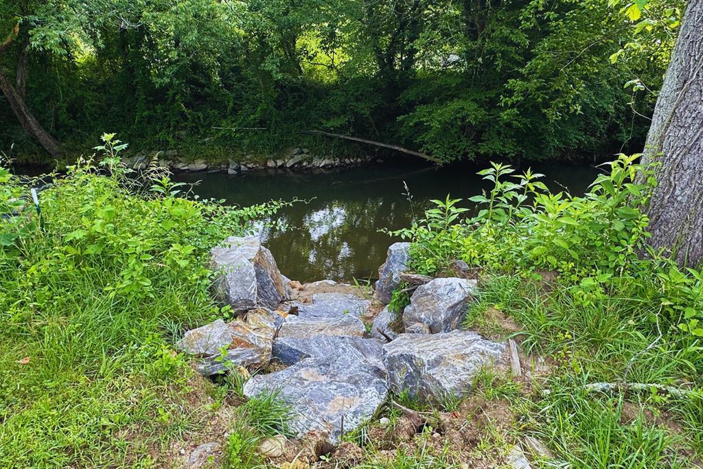 73 Cricket Lane Warne, NC 28909 - Photo 79 of 82 a garden view