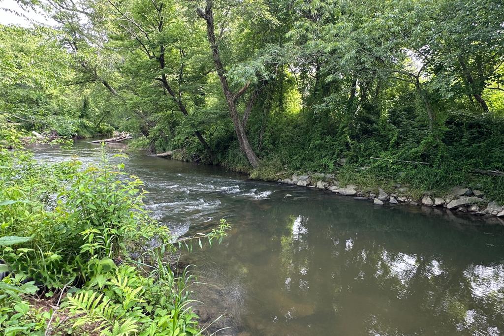 73 Cricket Lane Warne, NC 28909 - Photo 81 of 82 Brasstown Trails Entrance