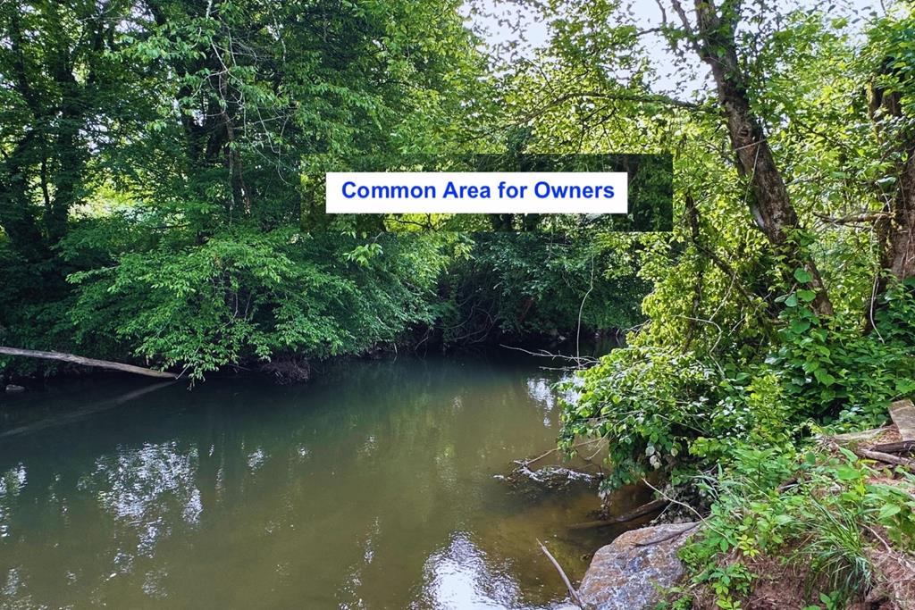 73 Cricket Lane Warne, NC 28909 - Photo 82 of 82