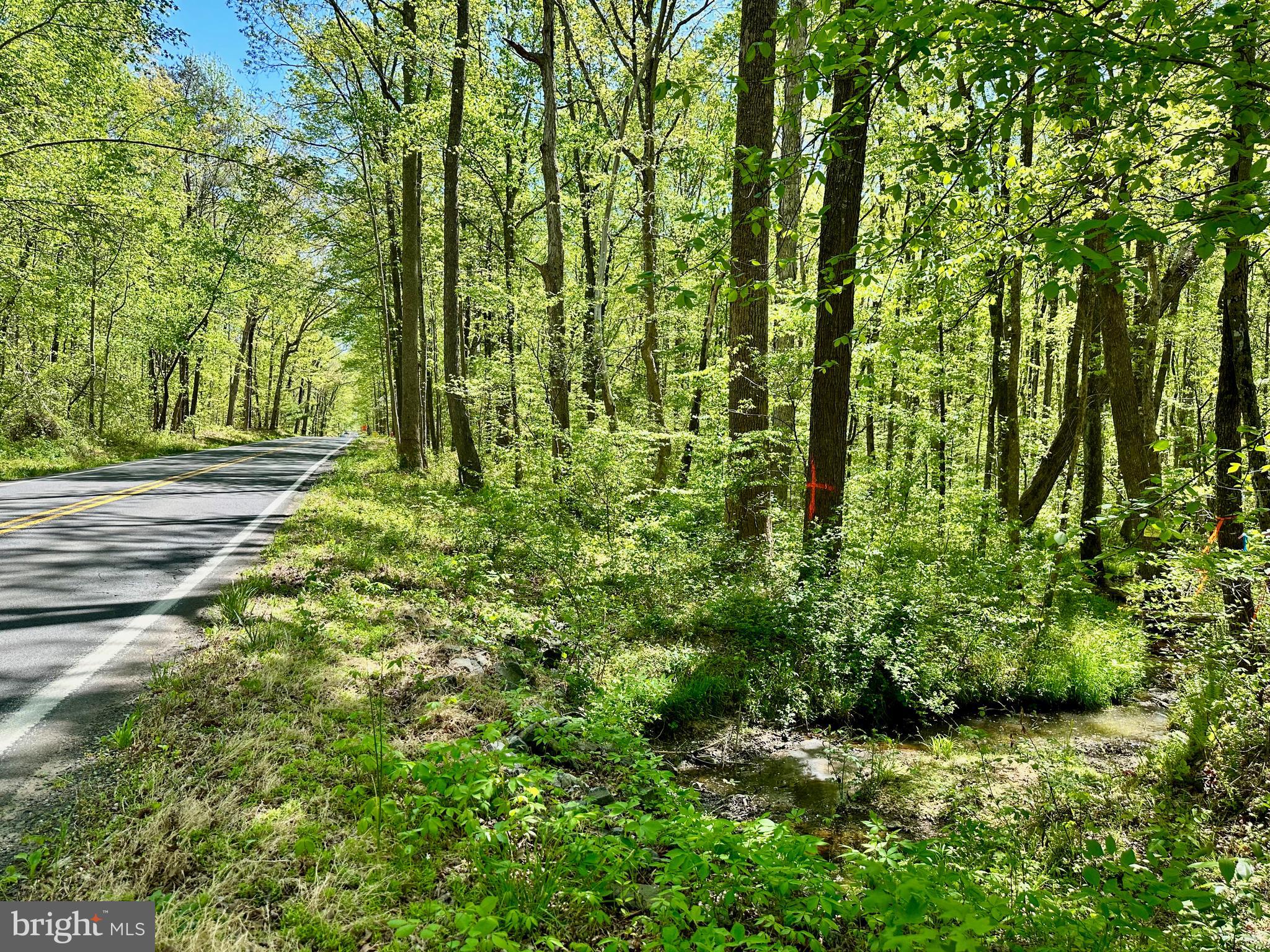 Old Plank Road Locust Grove, VA 22508 - Photo 1 of 7 Property Line at Shanty Bridge Creek
