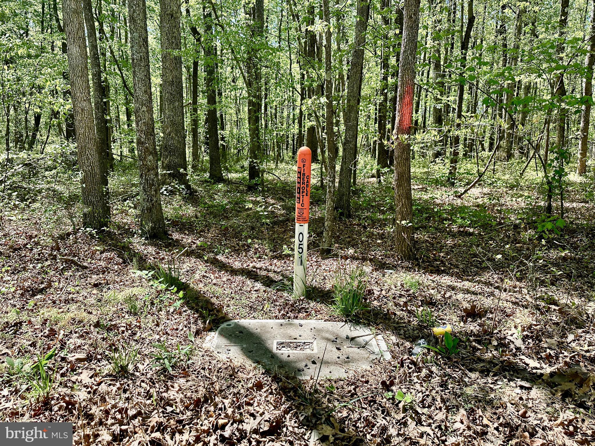 Old Plank Road Locust Grove, VA 22508 - Photo 4 of 7 Fiber Optic at property