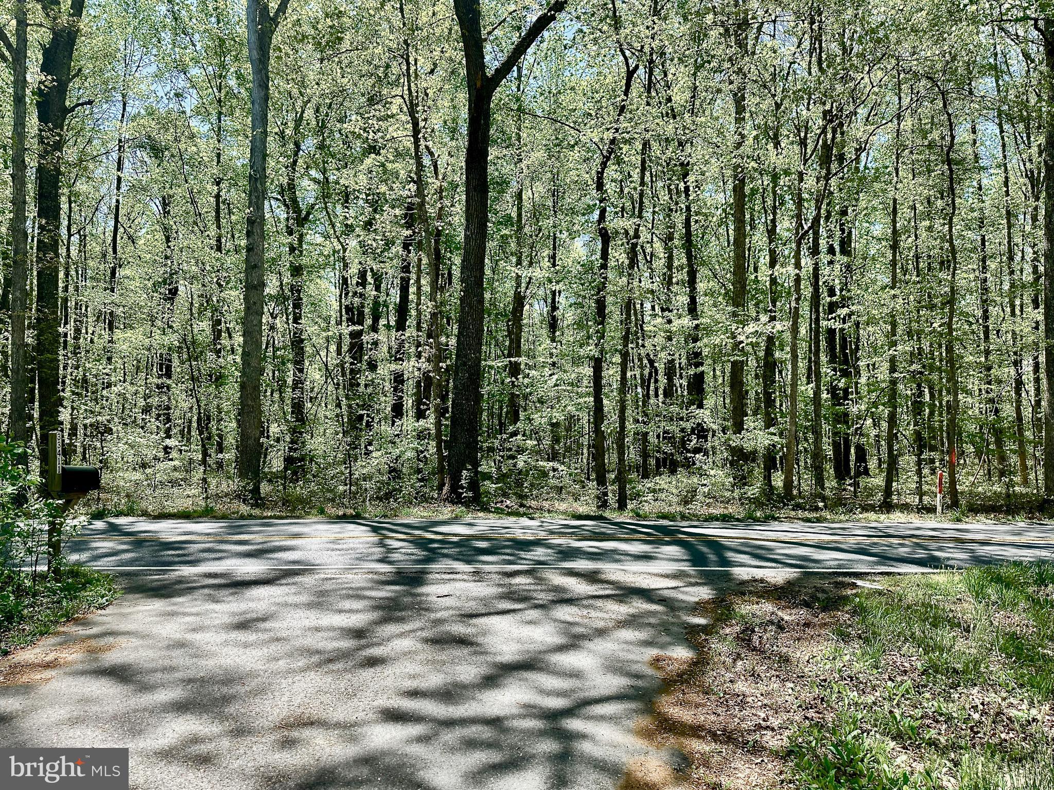 Old Plank Road Locust Grove, VA 22508 - Photo 6 of 7 Gallery Image 6