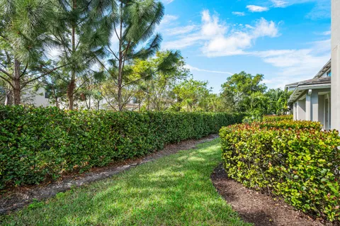 a view of a garden with plants and large trees
