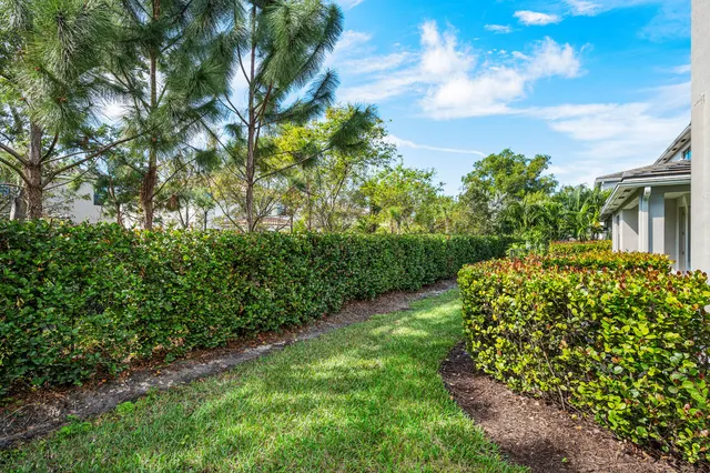 a view of a garden with plants and large trees