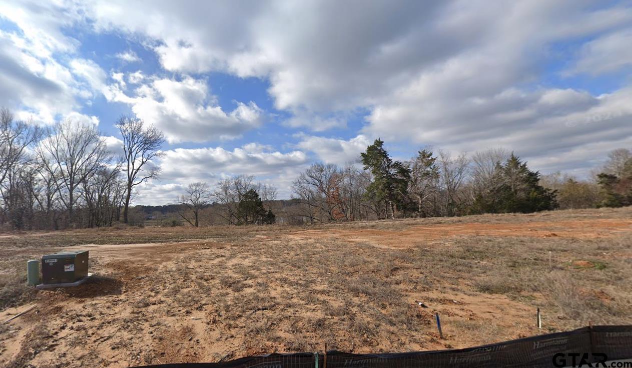 512 Preston Rdg Drive Tyler, TX 75703 - Photo 4 of 5 a view of a dry yard with wooden fence