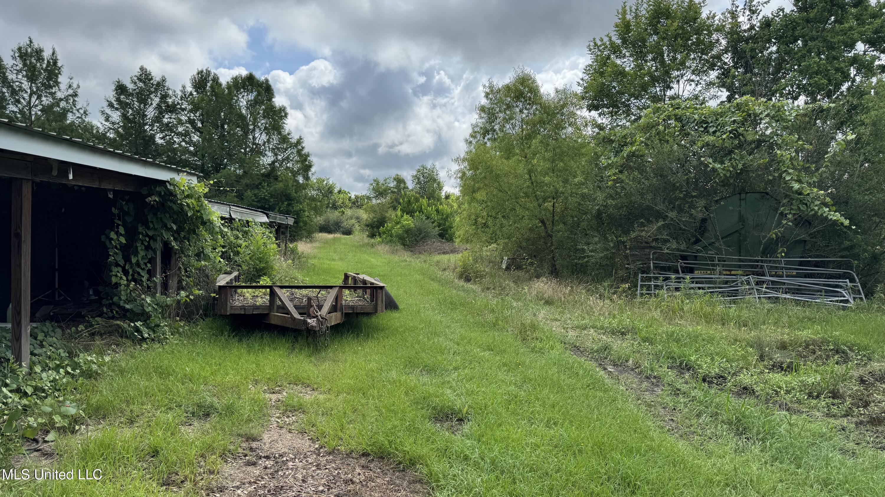 4513 Lawrence Hazel Road Lawrence, MS 39336 - Photo 19 of 32 IMG_3149