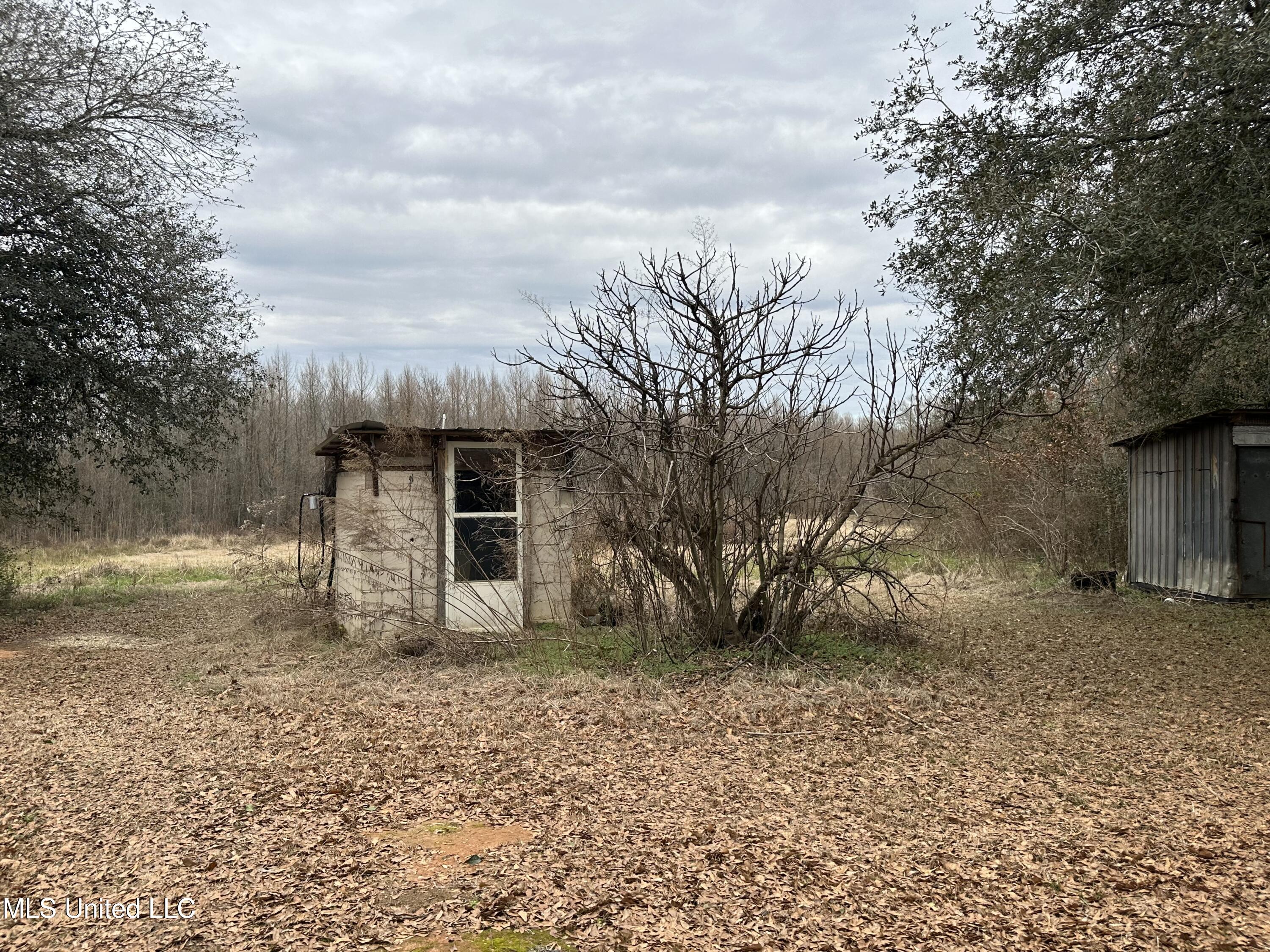 4513 Lawrence Hazel Road Lawrence, MS 39336 - Photo 21 of 32 IMG_5611