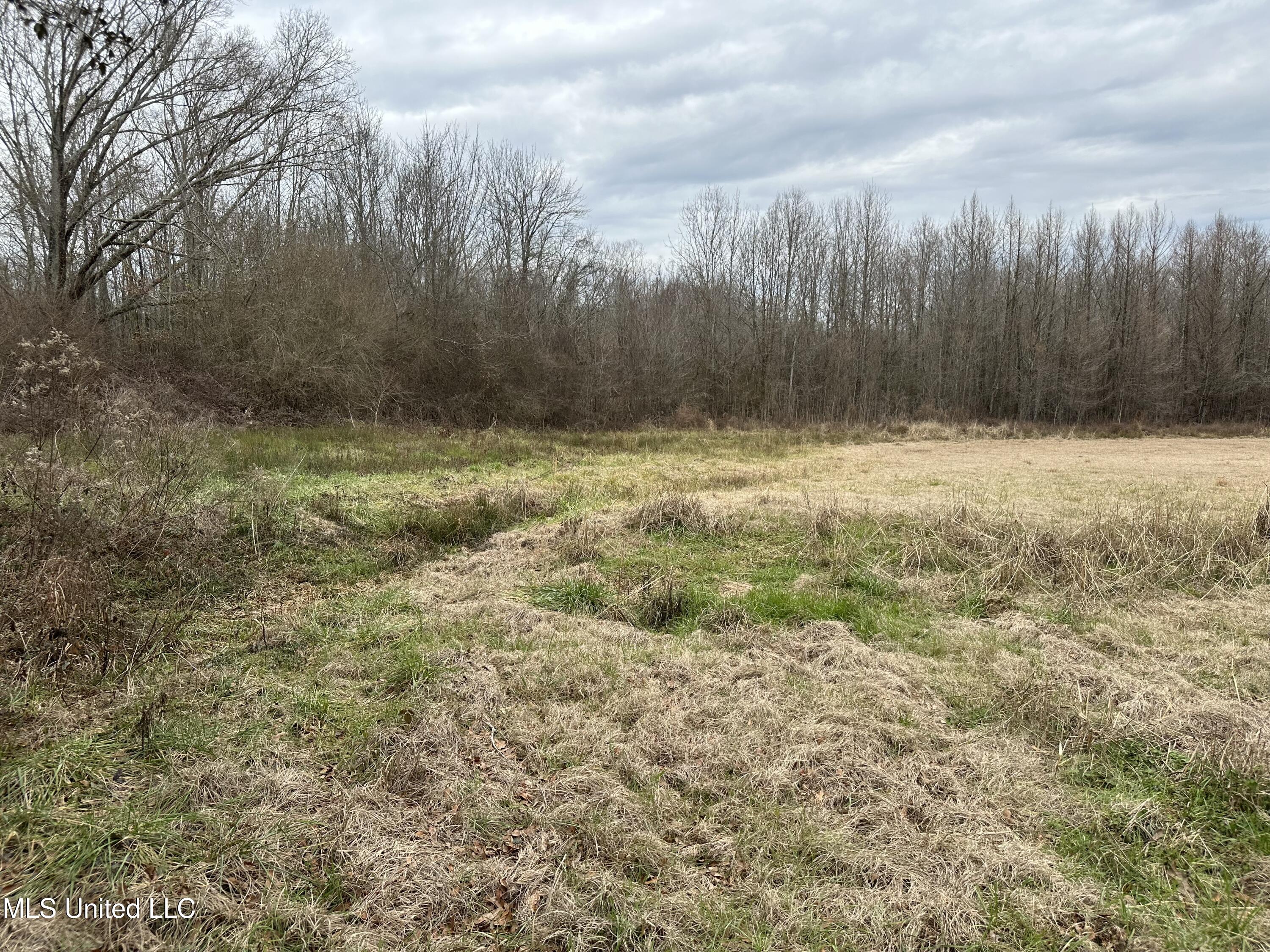 4513 Lawrence Hazel Road Lawrence, MS 39336 - Photo 22 of 32 IMG_5616