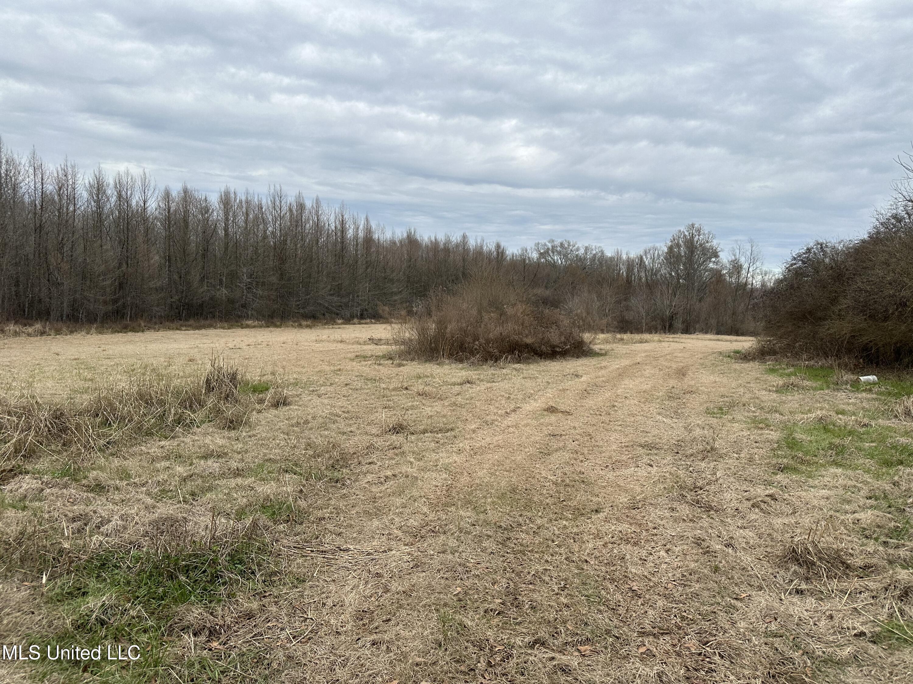 4513 Lawrence Hazel Road Lawrence, MS 39336 - Photo 23 of 32 IMG_5617