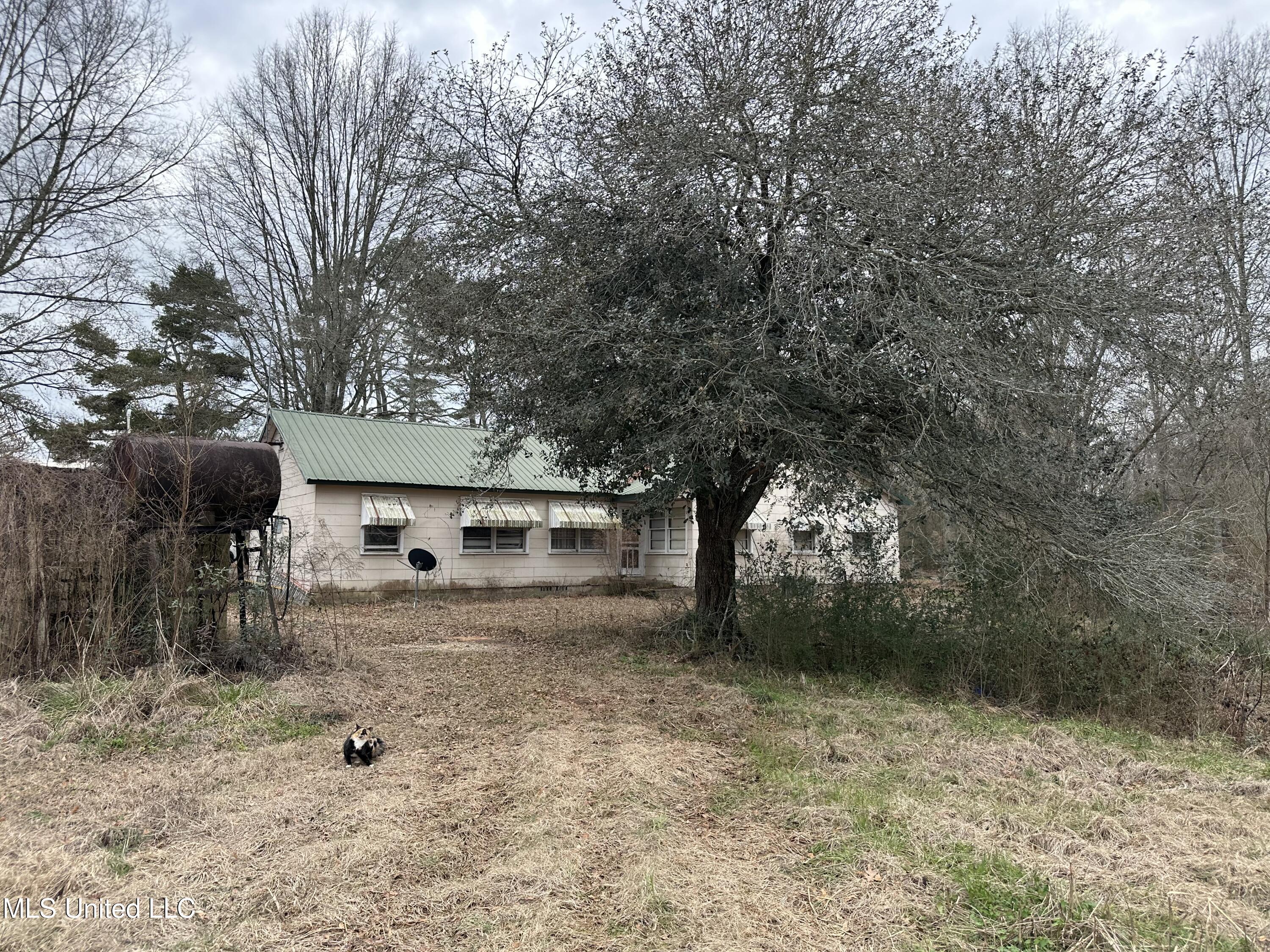 4513 Lawrence Hazel Road Lawrence, MS 39336 - Photo 24 of 32 IMG_5619