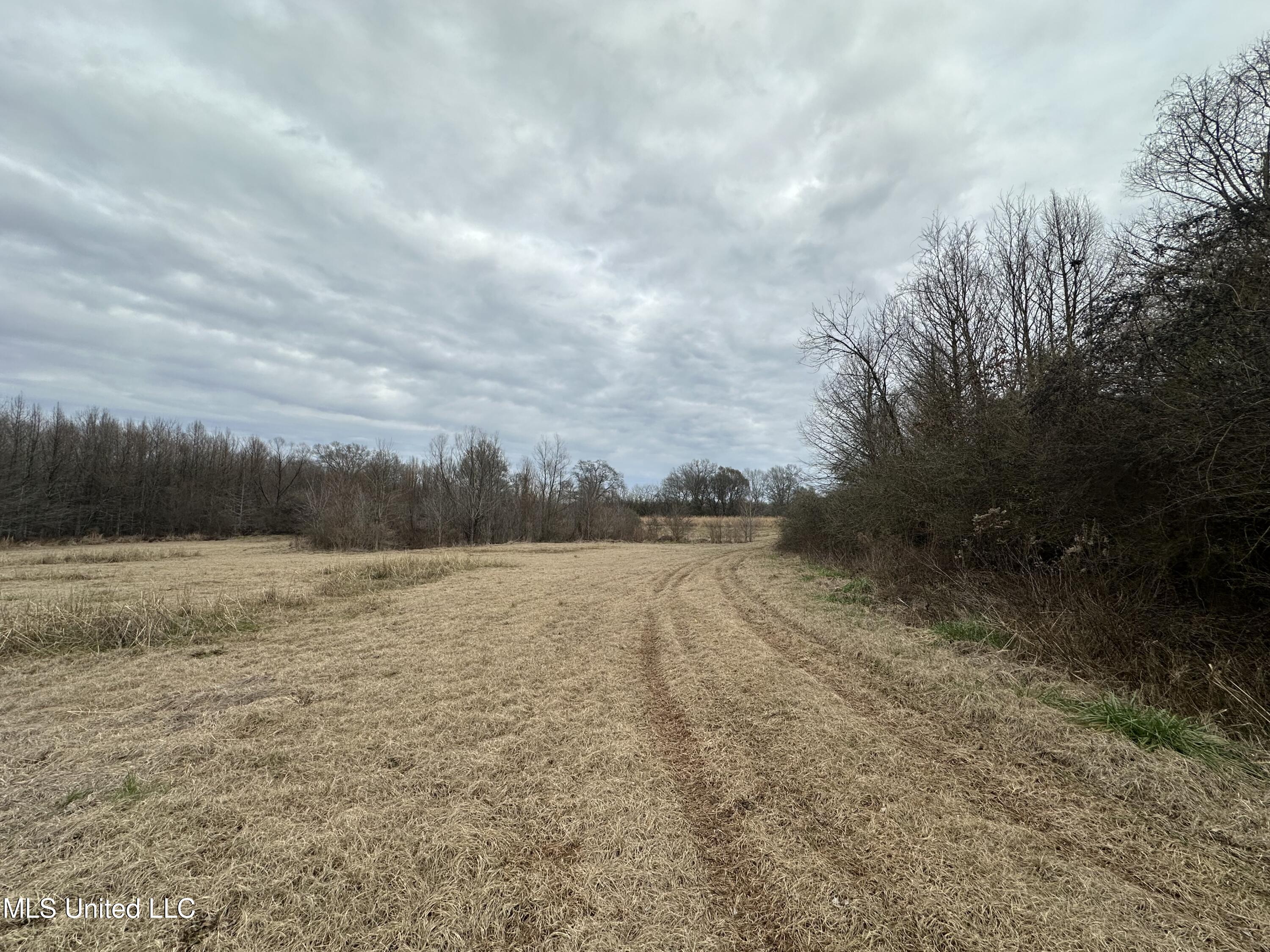 4513 Lawrence Hazel Road Lawrence, MS 39336 - Photo 25 of 32 IMG_5620