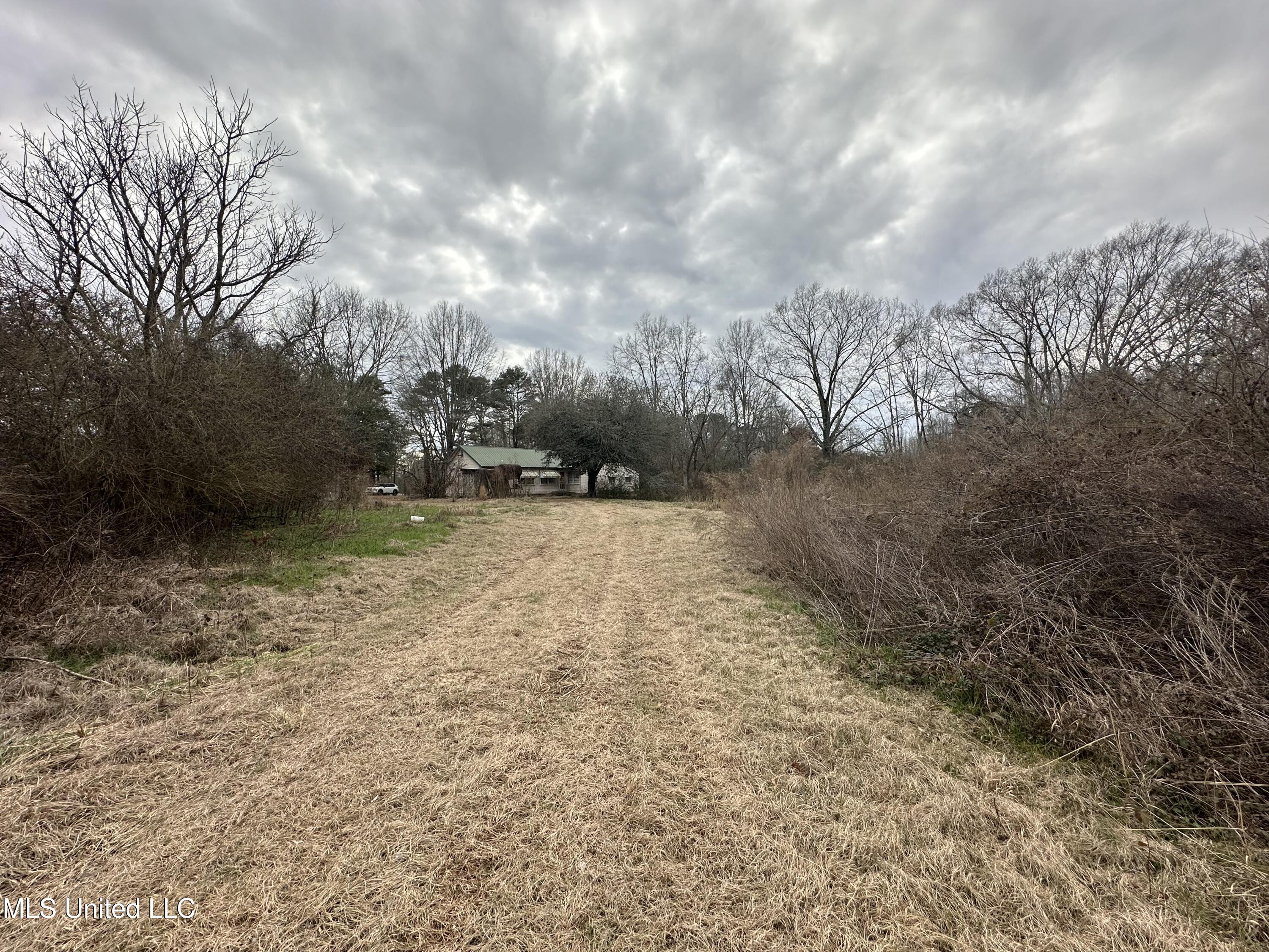 4513 Lawrence Hazel Road Lawrence, MS 39336 - Photo 26 of 32 IMG_5621