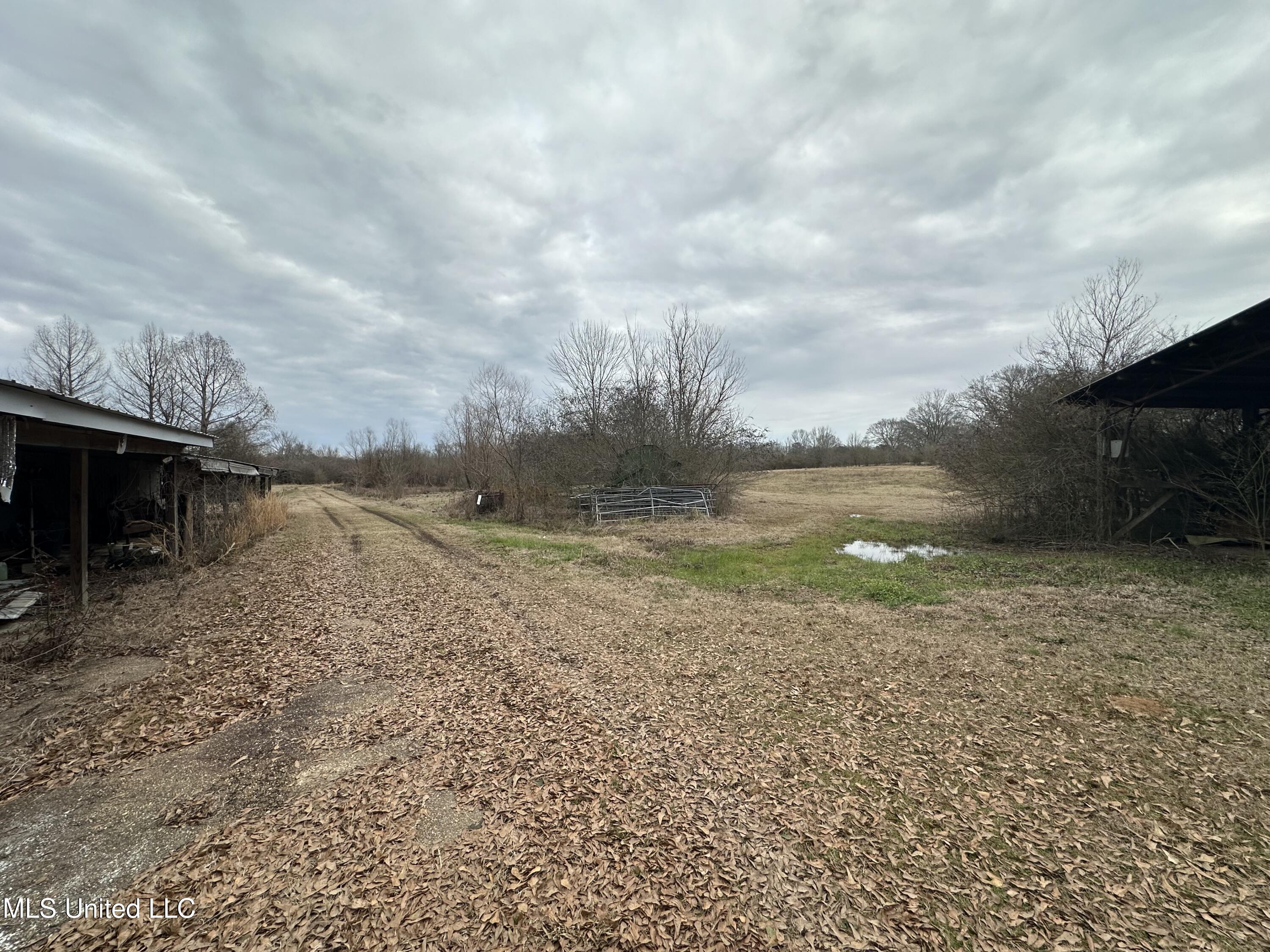 4513 Lawrence Hazel Road Lawrence, MS 39336 - Photo 27 of 32 IMG_5628