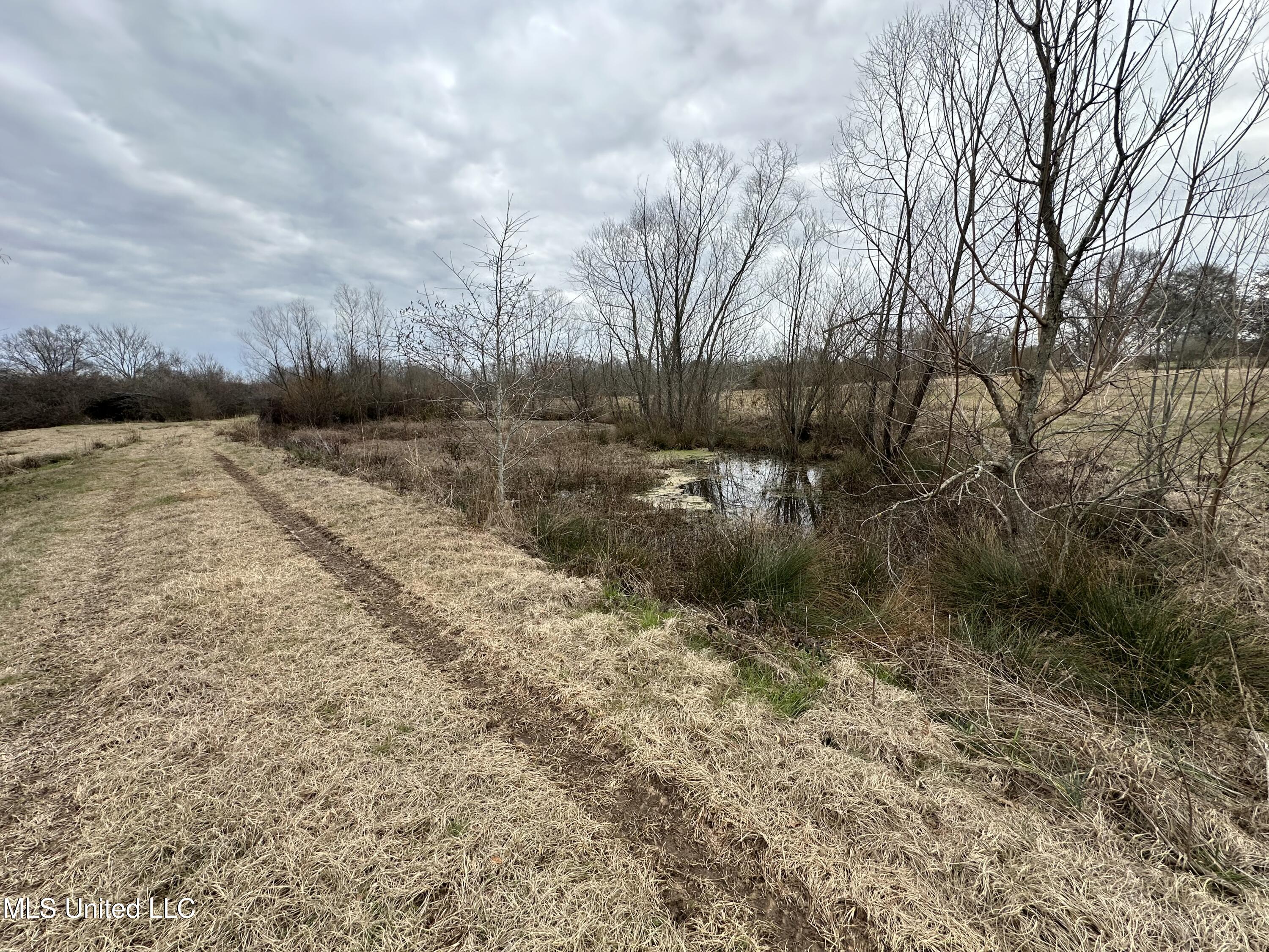 4513 Lawrence Hazel Road Lawrence, MS 39336 - Photo 28 of 32 IMG_5631