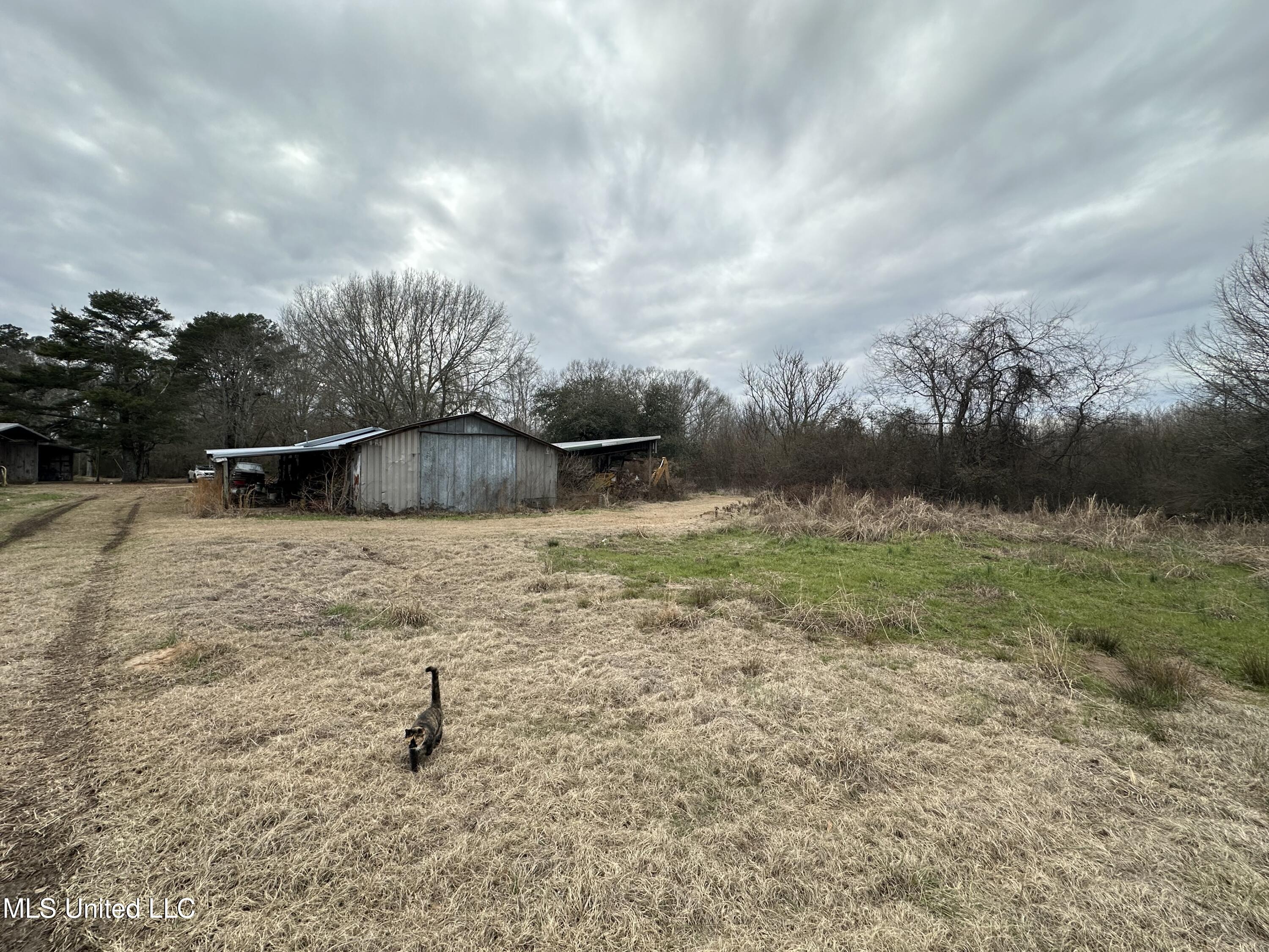 4513 Lawrence Hazel Road Lawrence, MS 39336 - Photo 29 of 32 IMG_5632