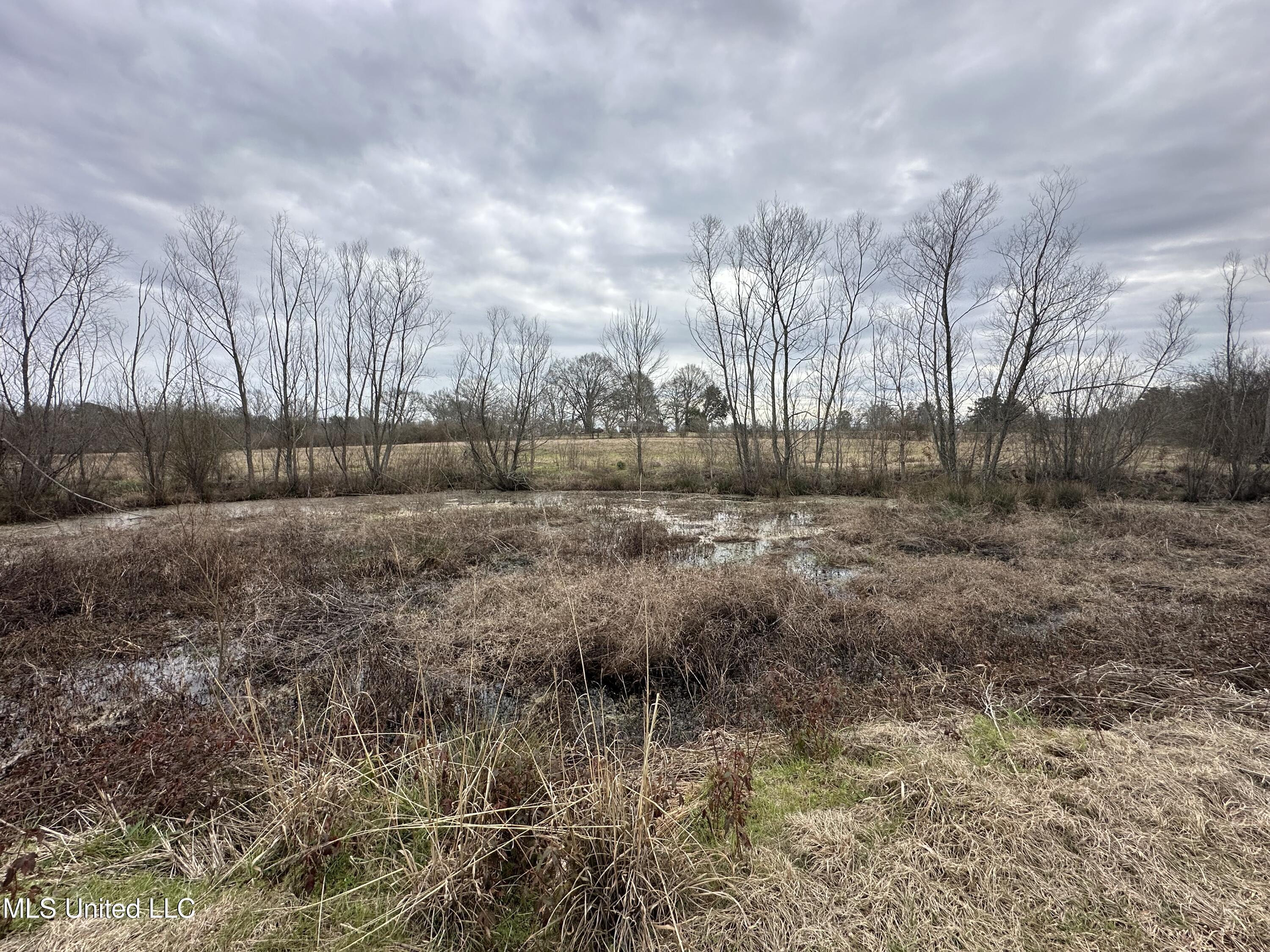 4513 Lawrence Hazel Road Lawrence, MS 39336 - Photo 30 of 32 IMG_5633