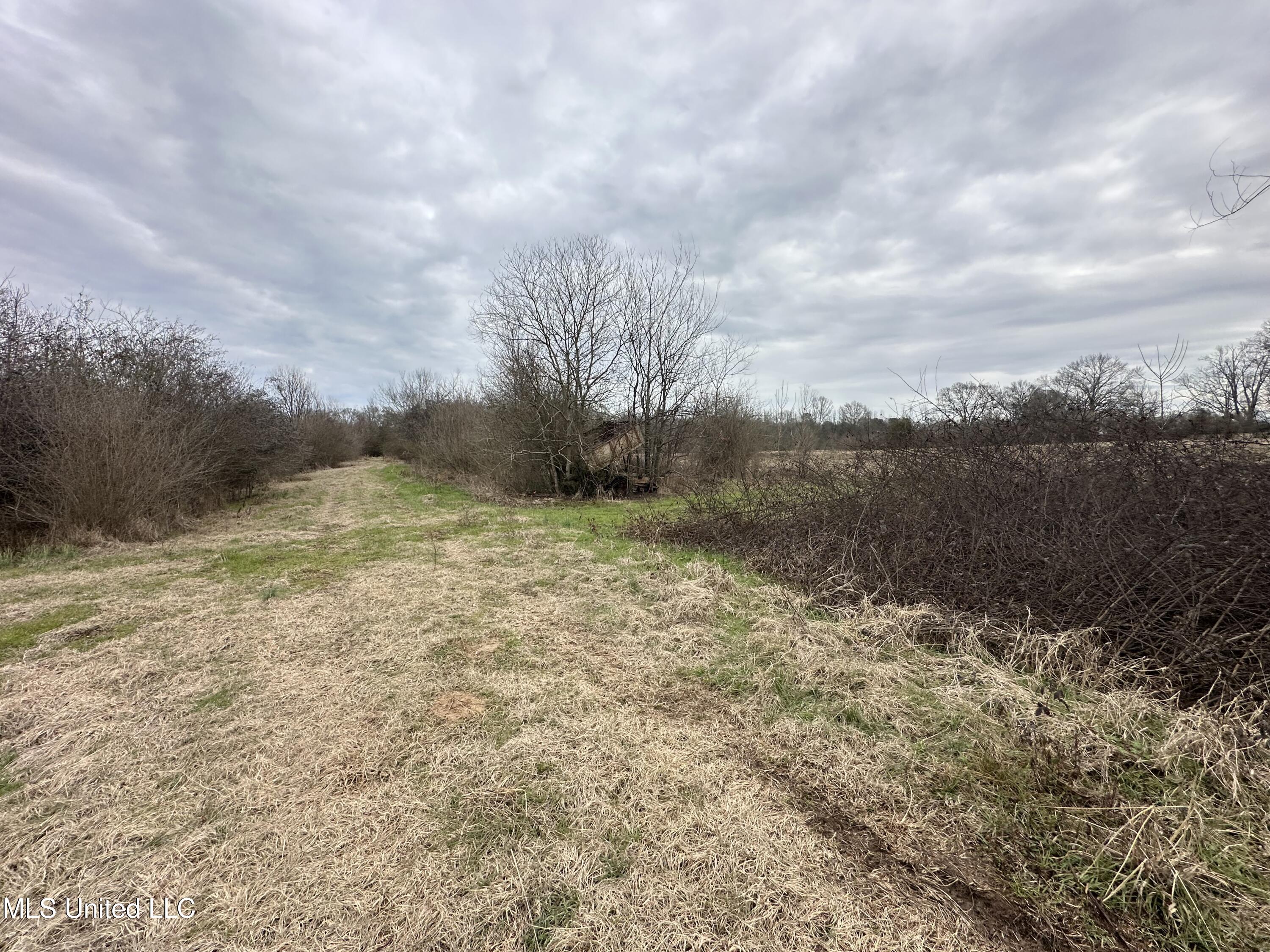 4513 Lawrence Hazel Road Lawrence, MS 39336 - Photo 31 of 32 IMG_5634