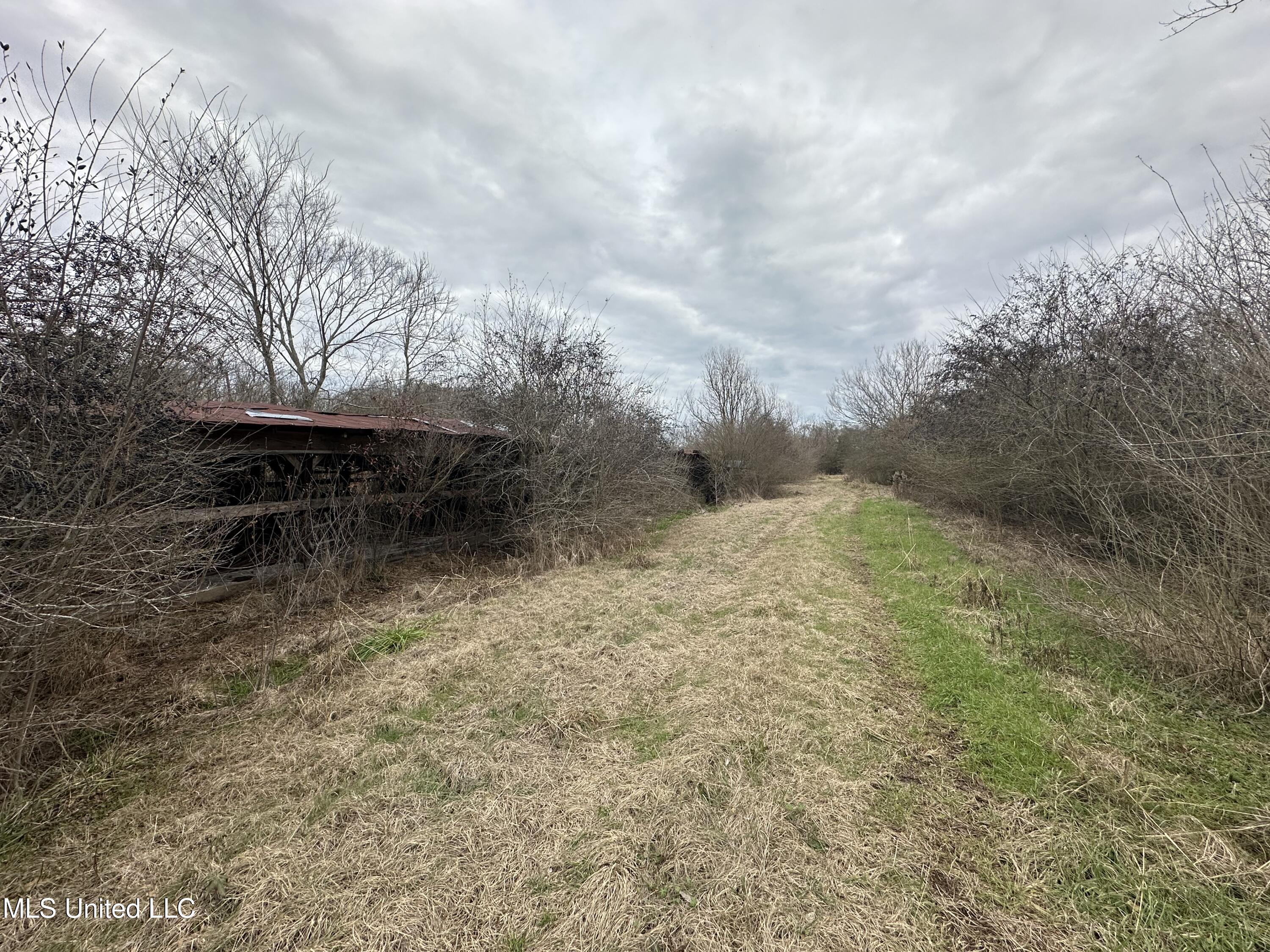 4513 Lawrence Hazel Road Lawrence, MS 39336 - Photo 32 of 32 IMG_5635