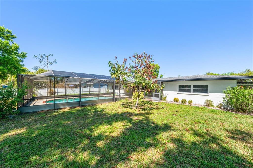 421 East County Line Road Lutz, FL 33549 - Photo 14 of 37 a swimming pool with outdoor seating and yard
