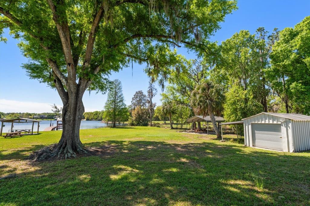 421 East County Line Road Lutz, FL 33549 - Photo 15 of 37 a view of a backyard with large trees