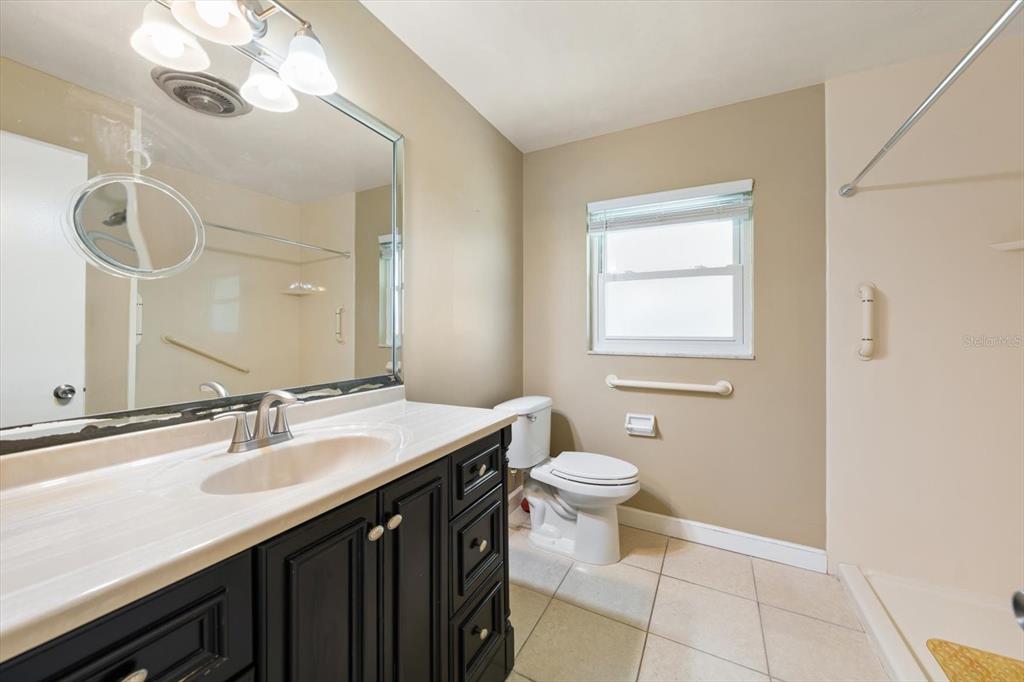 421 East County Line Road Lutz, FL 33549 - Photo 33 of 37 a bathroom with a sink a toilet and a mirror