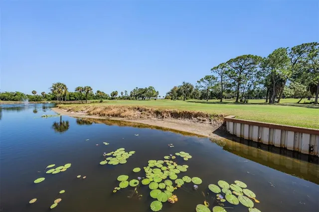 a view of a lake with houses in the background