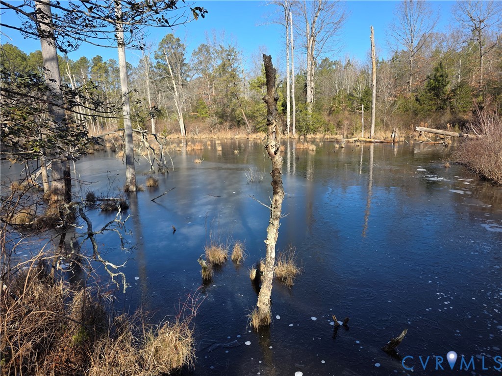 1585 Ullainee Road Caret, VA 22436 - Photo 9 of 10 a view of outdoor space with seating area