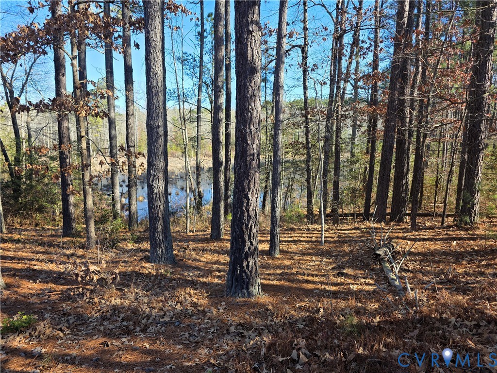 1585 Ullainee Road Caret, VA 22436 - Photo 10 of 10 a view of outdoor space with street view