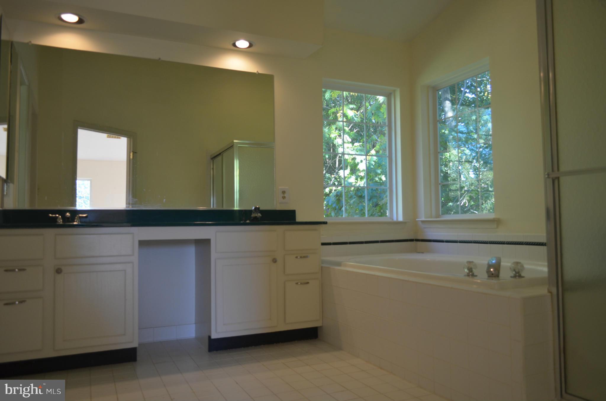 13803 Rockingham Road Germantown, MD 20874 - Photo 12 of 18 Bath (Master)