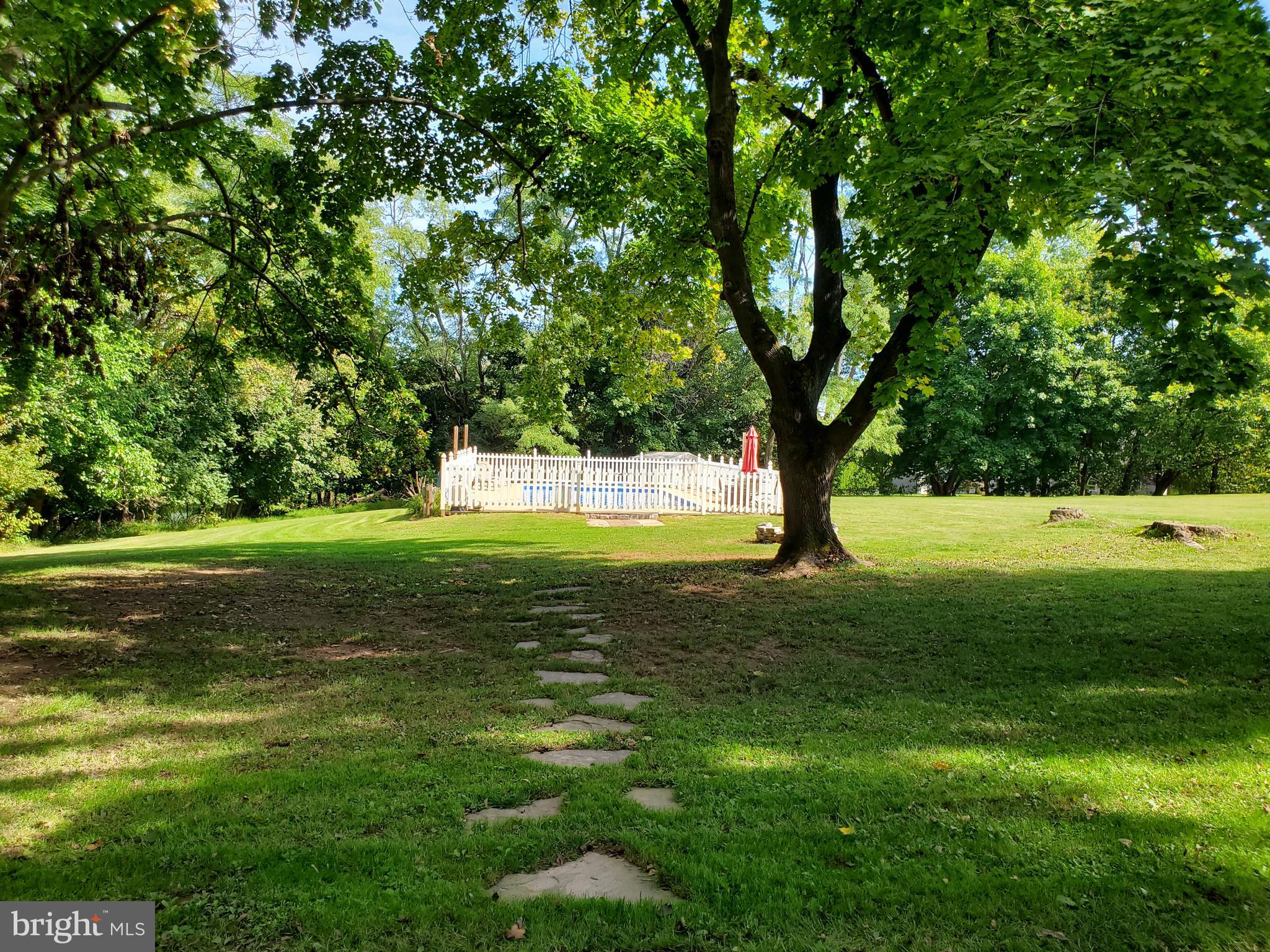 335 Brough Road Abbottstown, PA 17301 - Photo 11 of 60 Large Backyard