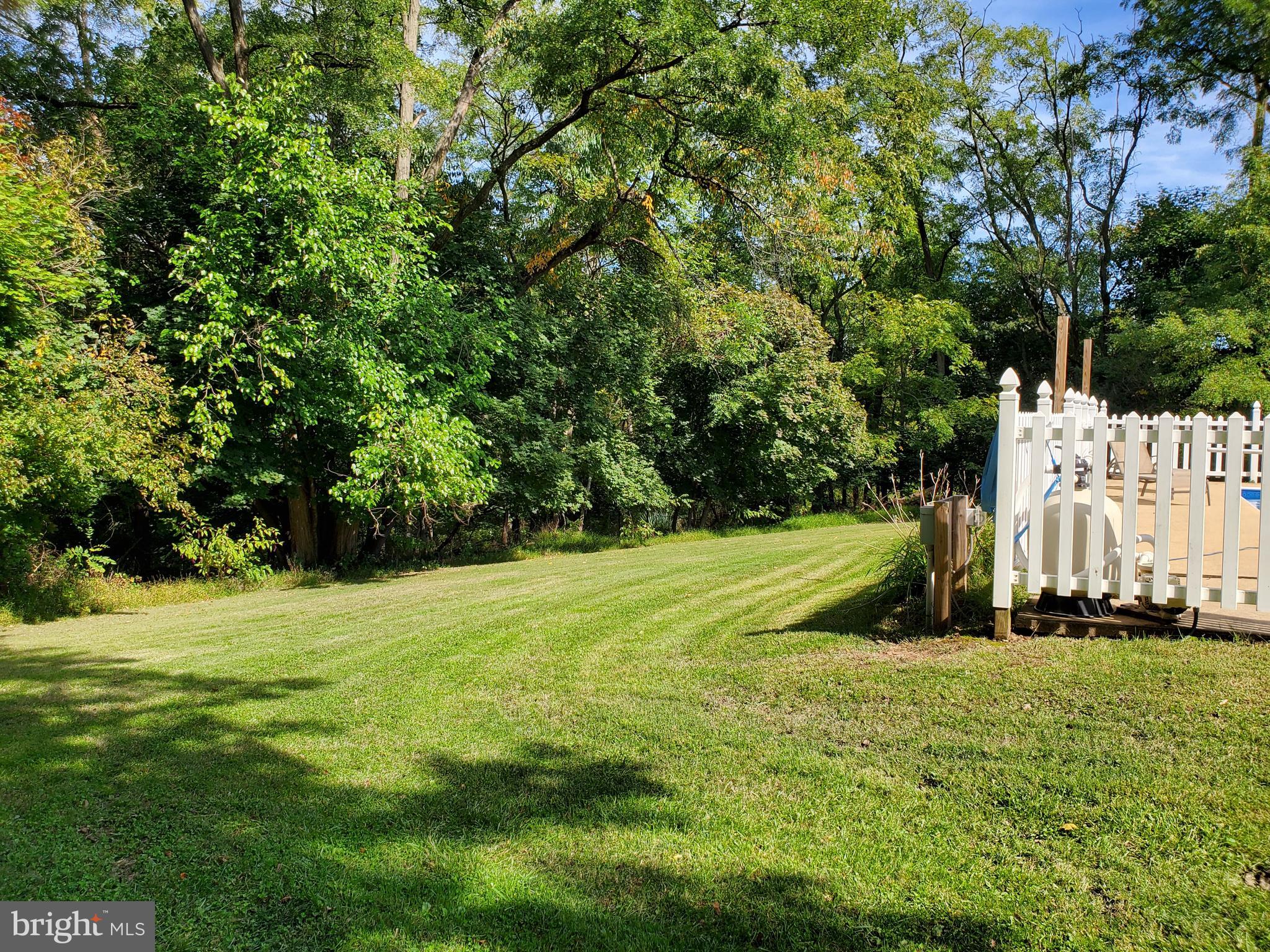 335 Brough Road Abbottstown, PA 17301 - Photo 12 of 60 Plenty Of Yard Space