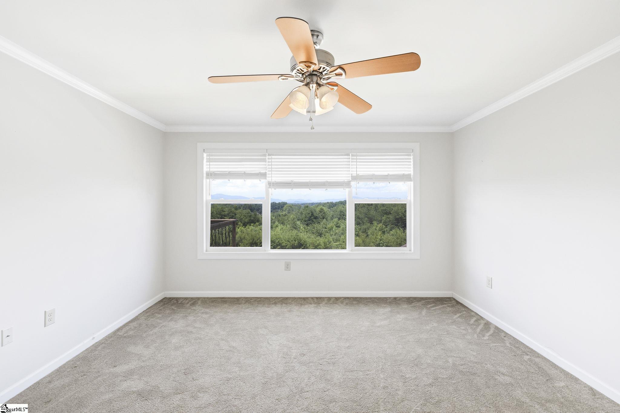 6735 Highway 357 Campobello, SC 29322 - Photo 41 of 50