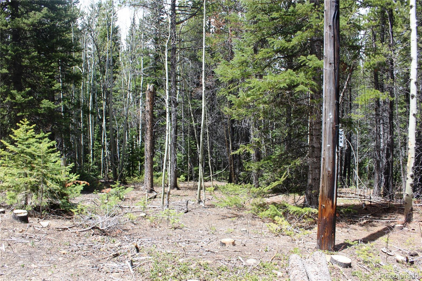 435 Aspen Road Black Hawk, CO 80422 - Photo 11 of 36