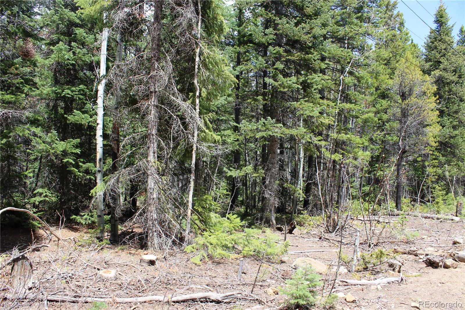 435 Aspen Road Black Hawk, CO 80422 - Photo 12 of 36