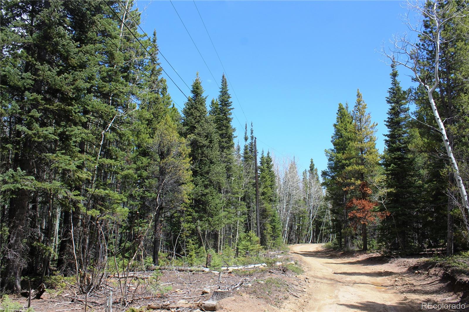 435 Aspen Road Black Hawk, CO 80422 - Photo 13 of 36
