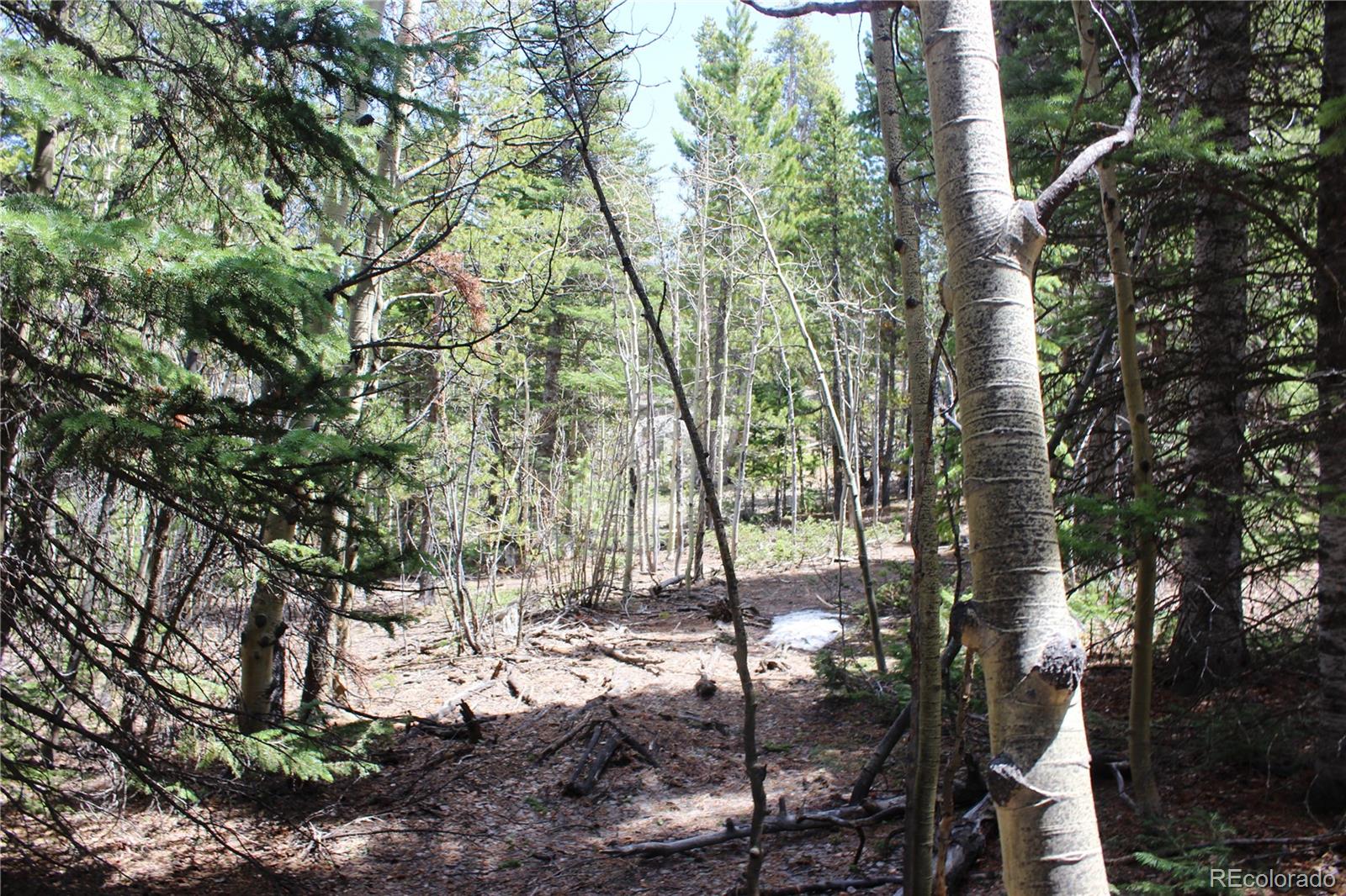 435 Aspen Road Black Hawk, CO 80422 - Photo 14 of 36