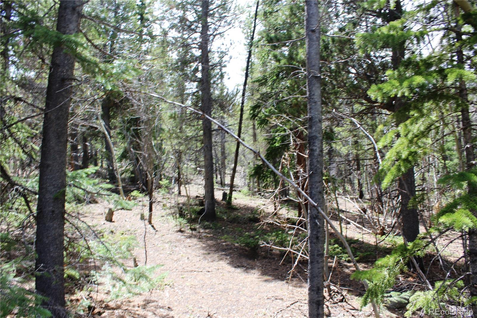 435 Aspen Road Black Hawk, CO 80422 - Photo 15 of 36