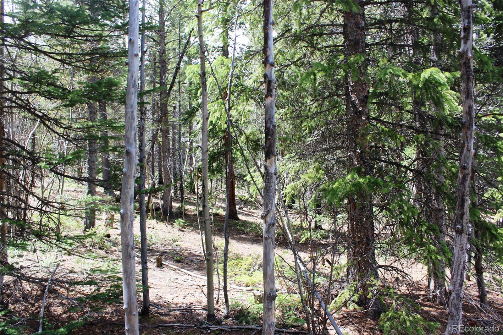 435 Aspen Road Black Hawk, CO 80422 - Photo 17 of 36