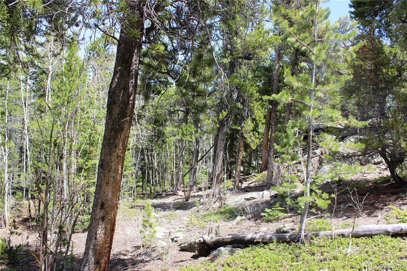 435 Aspen Road Black Hawk, CO 80422 - Photo 19 of 36