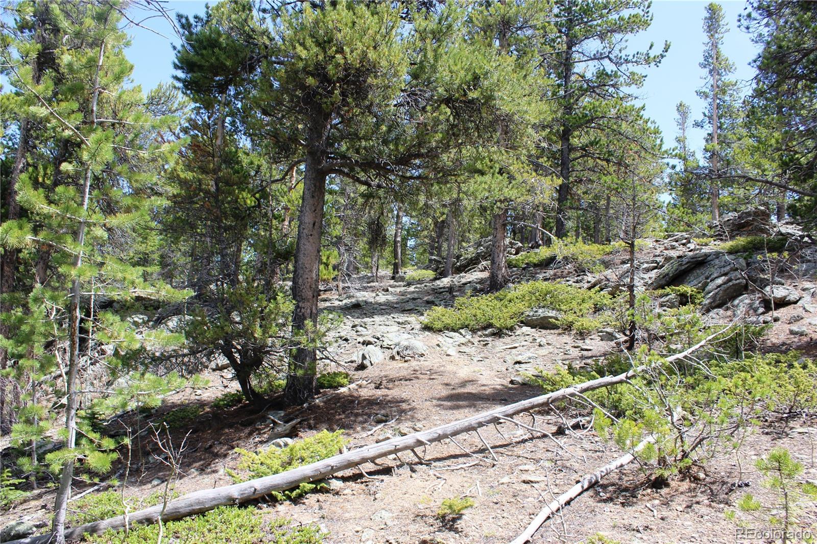 435 Aspen Road Black Hawk, CO 80422 - Photo 20 of 36