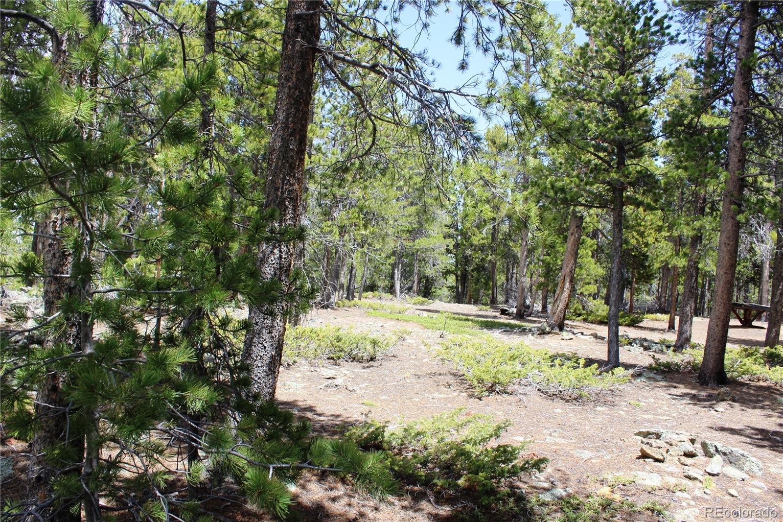 435 Aspen Road Black Hawk, CO 80422 - Photo 2 of 36