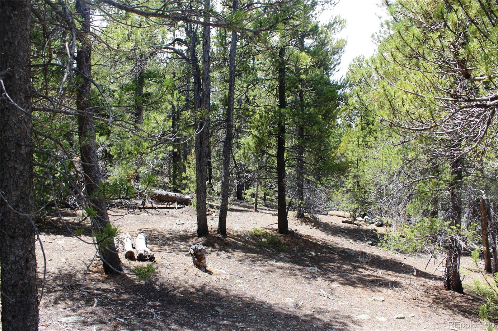 435 Aspen Road Black Hawk, CO 80422 - Photo 21 of 36