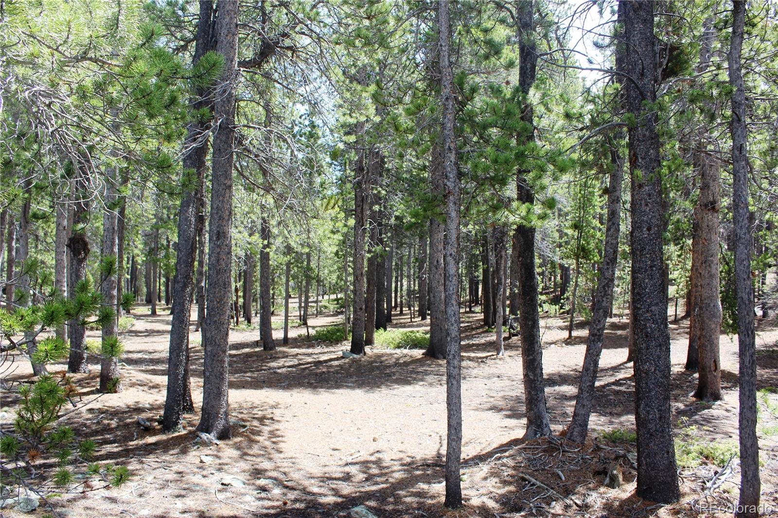 435 Aspen Road Black Hawk, CO 80422 - Photo 23 of 36