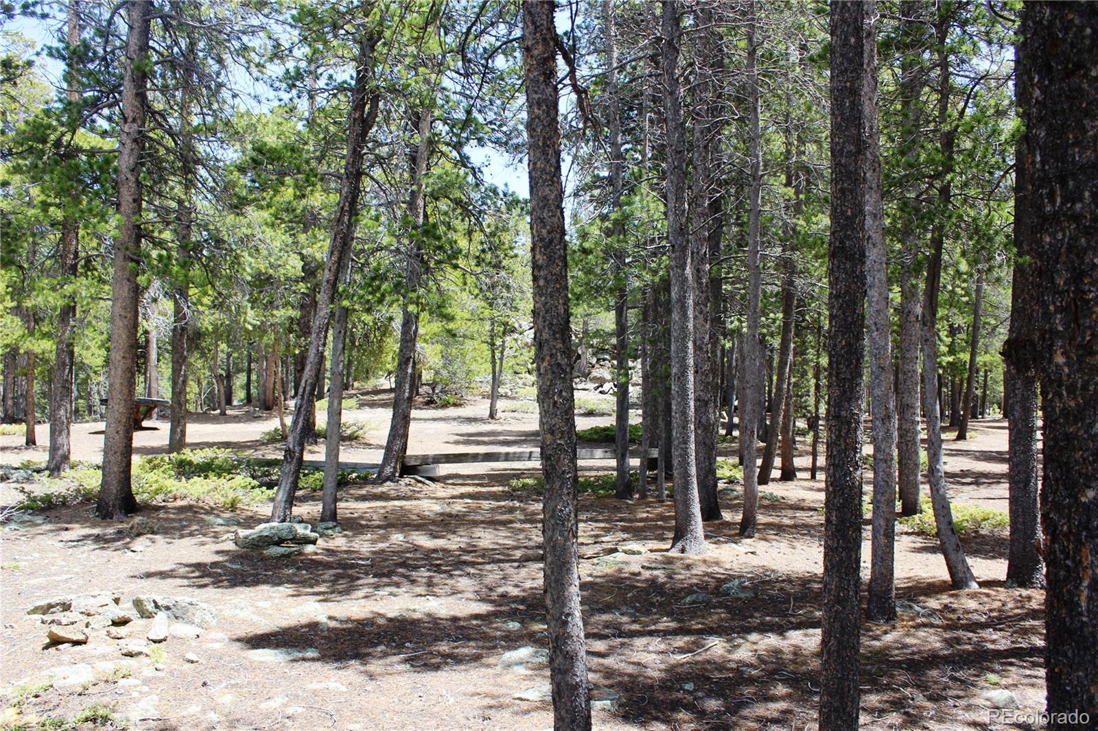 435 Aspen Road Black Hawk, CO 80422 - Photo 24 of 36