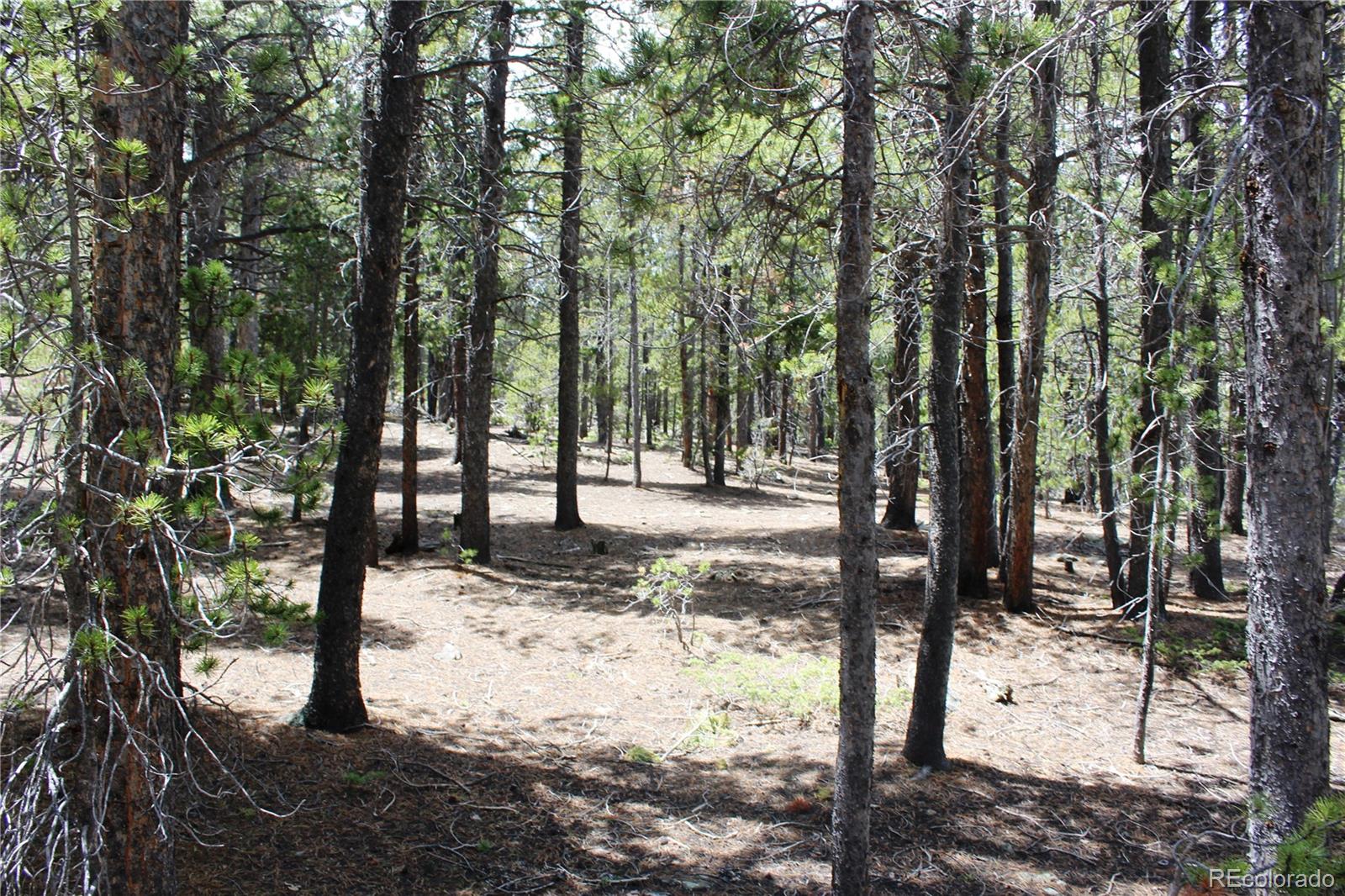 435 Aspen Road Black Hawk, CO 80422 - Photo 25 of 36
