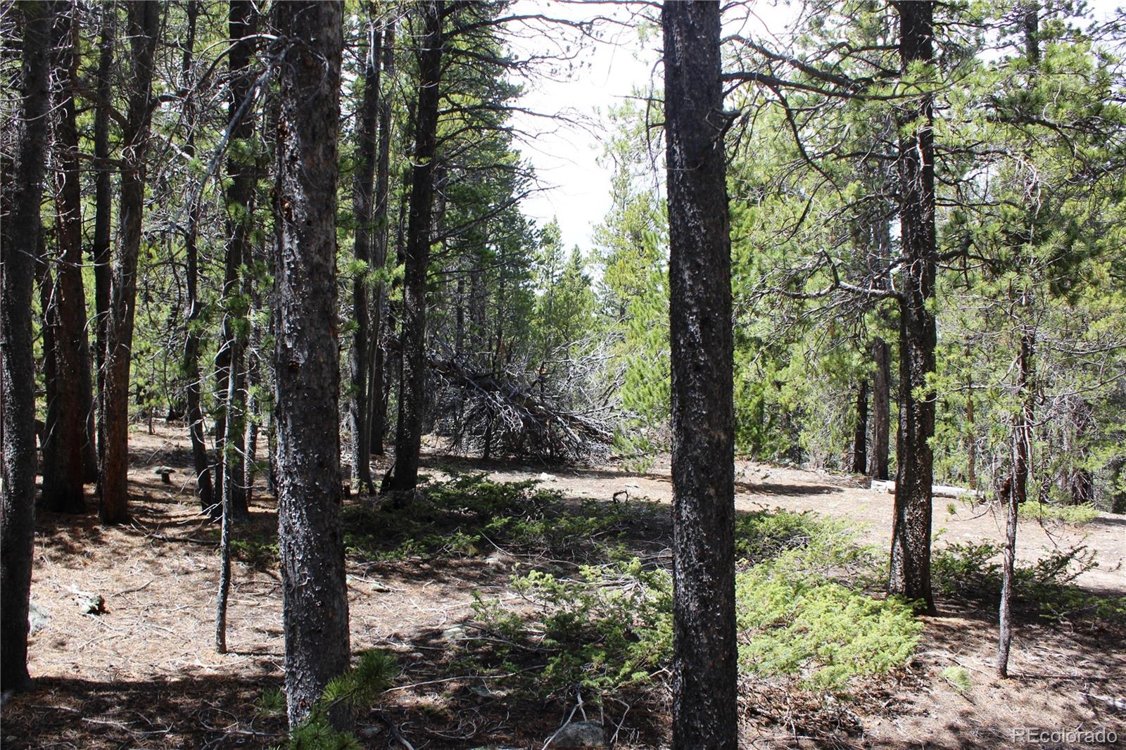 435 Aspen Road Black Hawk, CO 80422 - Photo 26 of 36